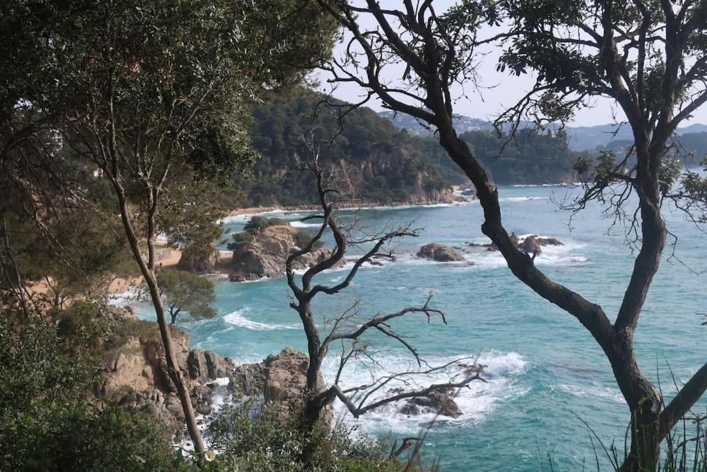 Apartamento Blanes Playa 外观 照片